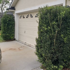 Bush Trimming by Greg's gardens reviewed on November 19, 2025