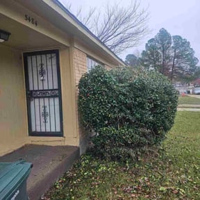 Bush Trimming by Poetry In Motion, LLC reviewed on December 4, 2025