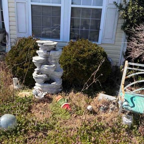 Bush Trimming by Wichi landscaping reviewed on March 10, 2026