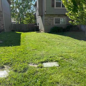 Bush Trimming by Pristine touch/landscaping reviewed on May 7, 2026