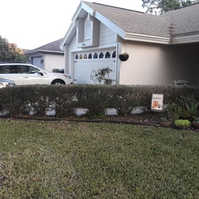 Bush Trimming by HR land service llc reviewed on February 18, 2026