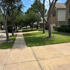 yard maintenance by Martínez landscaping reviewed on December 18, 2025