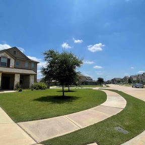 landscaping by Chai reviewed on August 20, 2025