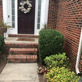 Bush Trimming by Elite Lawn Care reviewed on August 15, 2025