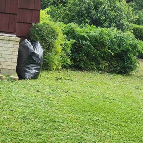 Bush Trimming by J&amp;M Landscaping reviewed on July 8, 2026