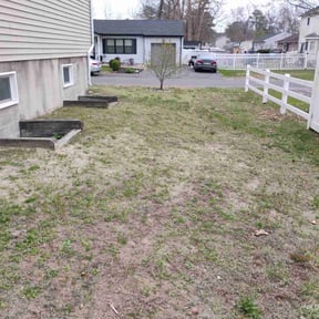 Leaf Removal by Spartan Landscaping reviewed on October 12, 2022