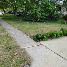 Leaf Removal by Verde Lawn and Property Management reviewed on July 16, 2026
