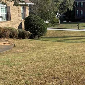 Bush Trimming by Thomas lawn care reviewed on November 4, 2025