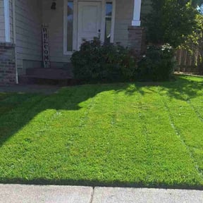 grass maintenance by Guzarc Lawn Services LLC reviewed on April 11, 2024