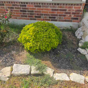 Flower Bed Weeding by Green Tech Integrated Services Inc. reviewed on July 27, 2026