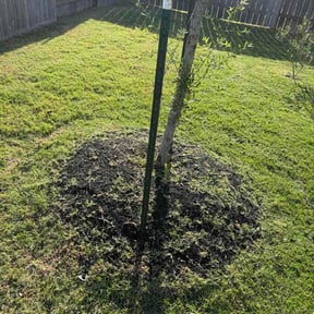 Flower Bed Weeding by Back Creek Property Services reviewed on July 25, 2026