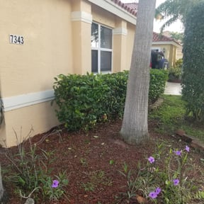 Bush Trimming by The leaf village reviewed on May 23, 2025