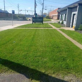 landscaping by CW Unlimited Enterprise LLC reviewed on March 20, 2024