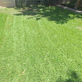 turf care by Chereka Mcilwaine reviewed on April 29, 2024