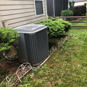 Bush Trimming by Better Price Lawn Service of Central Florida, LLC reviewed on August 21, 2025