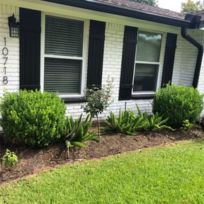 Flower Bed Weeding by Solid Ground Landscaping reviewed on November 24, 2025