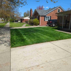 yard service by JR lawncare reviewed on August 19, 2025