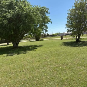 grass maintenance by B&t lawn servicee reviewed on March 26, 2024