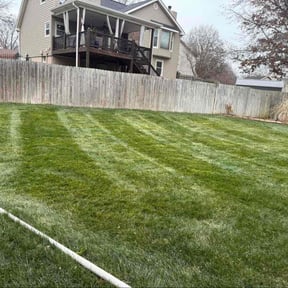 Leaf Removal by Escobar's  Landscaping reviewed on December 9, 2025