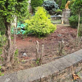 Flower Bed Weeding by The Cutting Edge reviewed on December 4, 2025