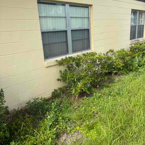 Bush Trimming by Blades of Grace Landscaping LLC reviewed on August 1, 2026
