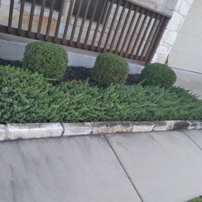 Bush Trimming by GrassFX Lawn Care reviewed on August 18, 2025