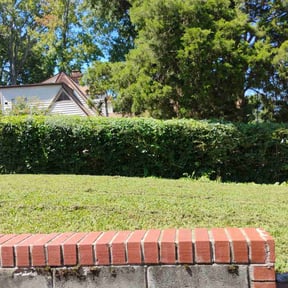 Bush Trimming by Jose Landscaping. reviewed on November 20, 2025