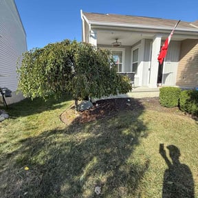 Flower Bed Weeding by Green Prairie Landscaping reviewed on July 3, 2022