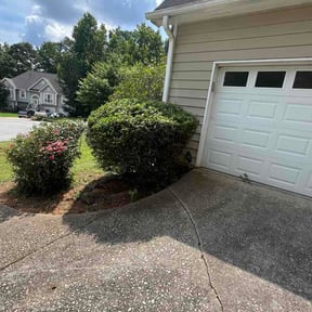 Bush Trimming by Tree service and moving reviewed on July 31, 2026