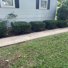 Bush Trimming by Total Landscaping reviewed on August 15, 2025