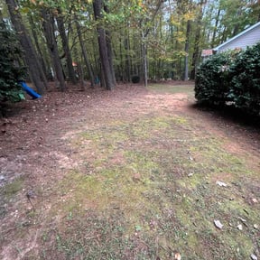 Leaf Removal by 5471 Landscapes reviewed on October 21, 2025