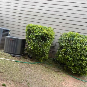 Bush Trimming by Nate's Scapes reviewed on November 27, 2025