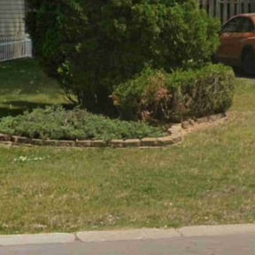 Bush Trimming by Mow &amp; Go reviewed on October 19, 2025