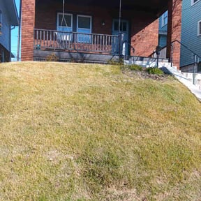 Leaf Removal by Tansol LLC reviewed on August 16, 2025