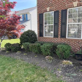 Bush Trimming by Big K Lawn Service reviewed on April 28, 2026
