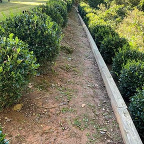 Flower Bed Weeding by Candanoza Lawn Service reviewed on November 18, 2025