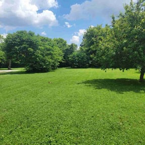 landscaping services by Bright Lawn Landscaping reviewed on May 1, 2024