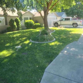 yard care by Leon reviewed on December 4, 2025