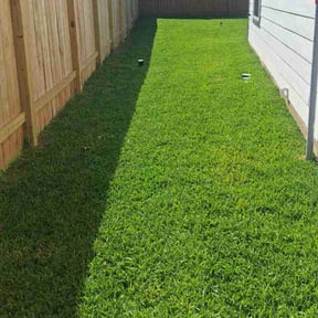 gardening service by Grass stains 4 life lawn care, landscaping, snow removal, LLC reviewed on November 20, 2025