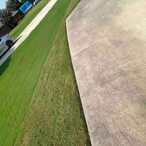 Bush Trimming by Professional Lawn &amp; Landscape LLC reviewed on August 3, 2026