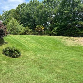 yard maintenance by Super Mower Yard maintenance and landscaping reviewed on August 15, 2025