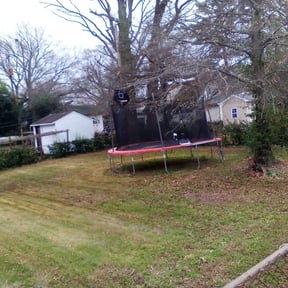 Leaf Removal by DLAWN SERVICE LLC reviewed on August 19, 2025
