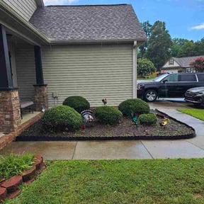Bush Trimming by WMSMobileSolutions reviewed on July 16, 2026
