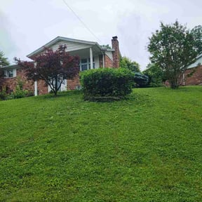 Bush Trimming by KG Grounds reviewed on May 22, 2026