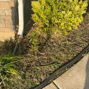 Flower Bed Weeding by A &amp; N Landscaping reviewed on November 6, 2025