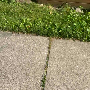 Leaf Removal by Sean lawn care llc reviewed on June 11, 2026