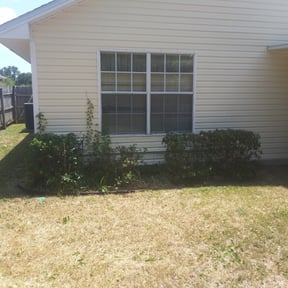 Bush Trimming by Hope Lawn Care reviewed on August 18, 2025
