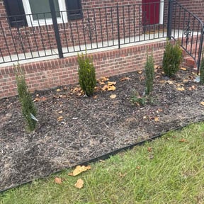 Flower Bed Weeding by Forever Green FG LLC reviewed on November 29, 2025