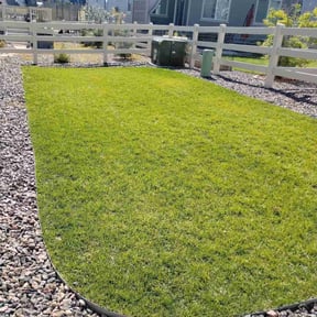 Bush Trimming by Phase 1 Landscaping reviewed on May 26, 2025