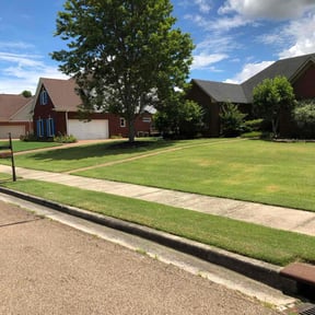 landscaping by Top Turf L.L.C reviewed on August 20, 2025